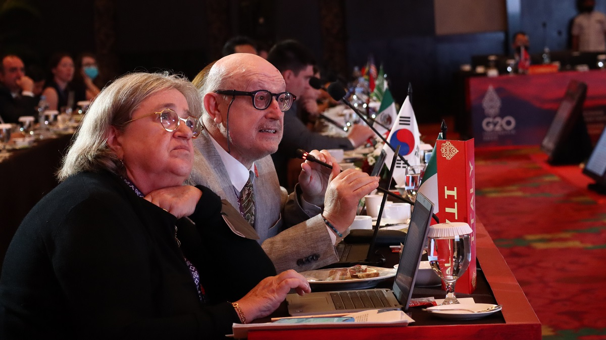 Lingkungan Hidup dan Kebijakan Lingkungan Hidup di Negara Federasi: Analisis Mendalam
